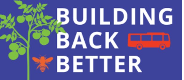 Blue background with white text that says, "Building Back Better." THere is a green tree illustration on the left side with an orange bug. Next to "back" there is a red bus. 